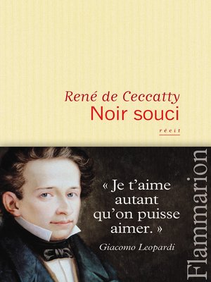 cover image of Noir souci